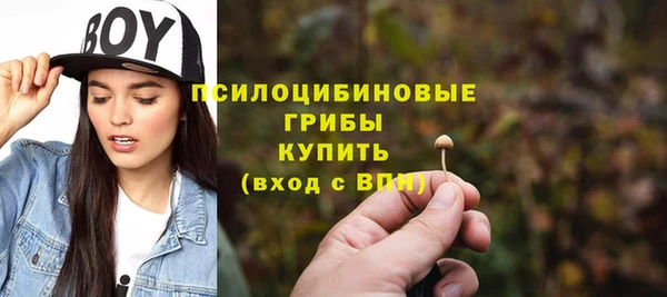 гашик Алексеевка