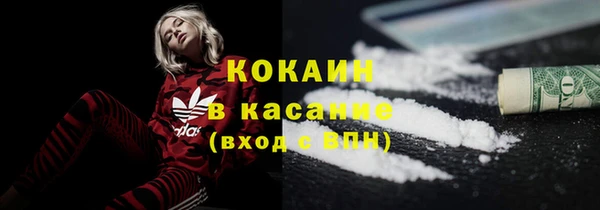 гашик Алексеевка