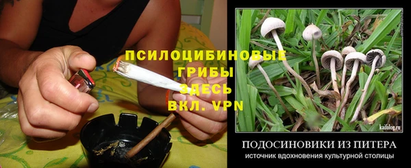 эйфоретик Алзамай