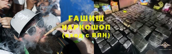 гашик Алексеевка