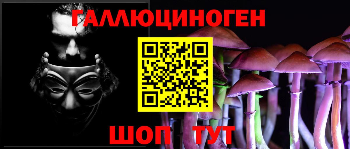 Псилоцибиновые грибы Psilocybine cubensis Лабытнанги